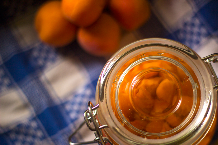 Small Apricot Rumtopf | The Kitchen Maus