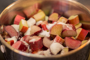 Rhubarb Compote