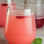 Strawberry Rhubarb Spritzer