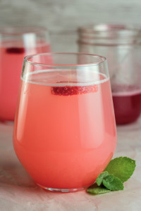 Strawberry Rhubarb Spritzer