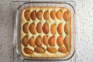 Fresh Apricot Cake (Aprikosenkuchen) by the Kitchen Maus