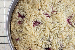 Quick Plum Streusel Cake (Pflaumenkuchen) by the Kitchen Maus